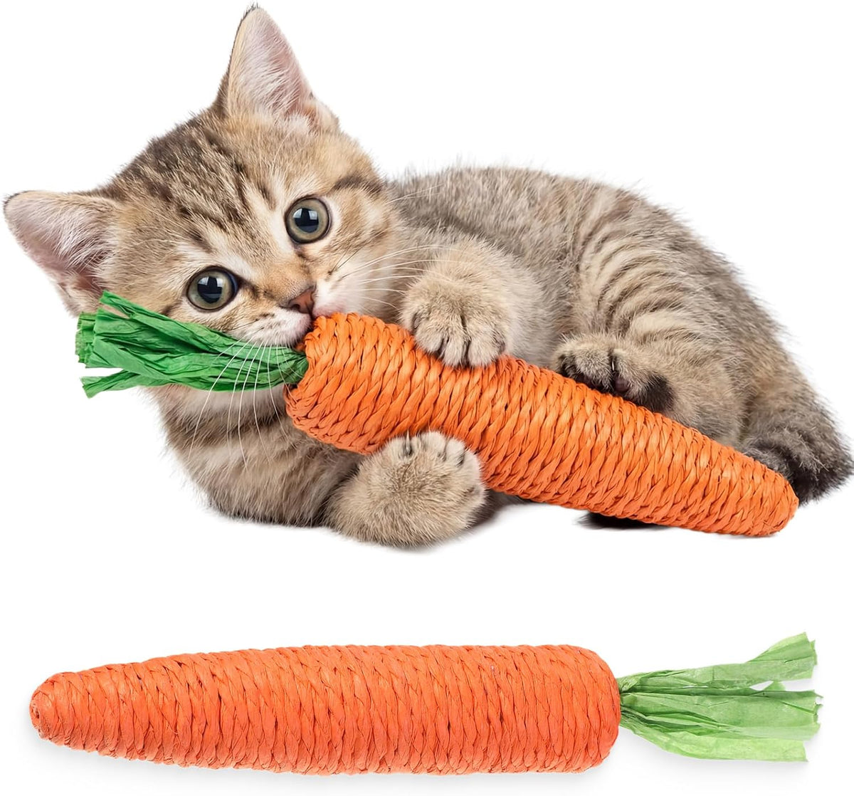 Kitten Teething Toys for Indoor Cats
