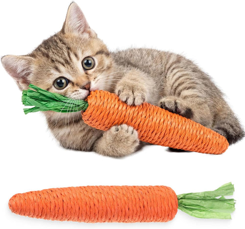 Kitten Teething Toys for Indoor Cats
