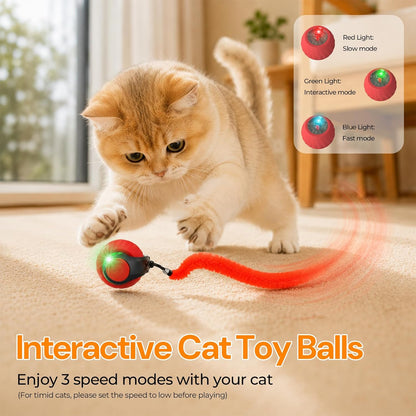 Interactive Cat Toys with Bird Sounds & 3 Modes for Indoor Cats Play