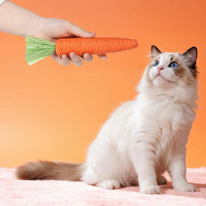 Kitten Teething Toys for Indoor Cats